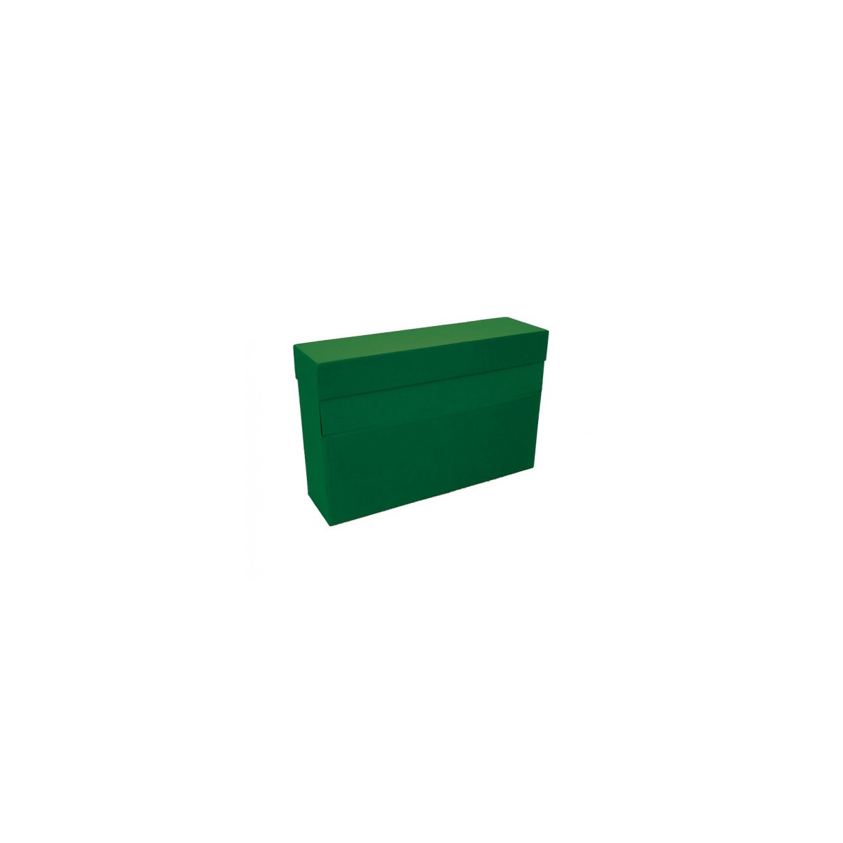 CAJA TRANSFERENCIA A4 CARTON FORRADO EN GELTEX 35X255X 11 CM VERDE MARIOLA 1675VE