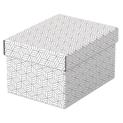 PACK 3 CAJAS BLANCAS 255X200X150MM ESSELTE 628280