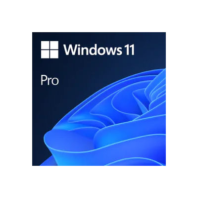 Microsoft Windows 11 Pro 1 licencias