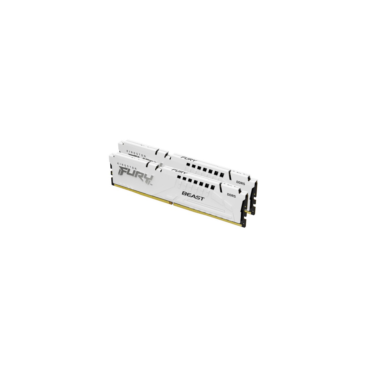 Kingston Technology FURY Beast modulo de memoria 32 GB 2 x 16 GB DDR5