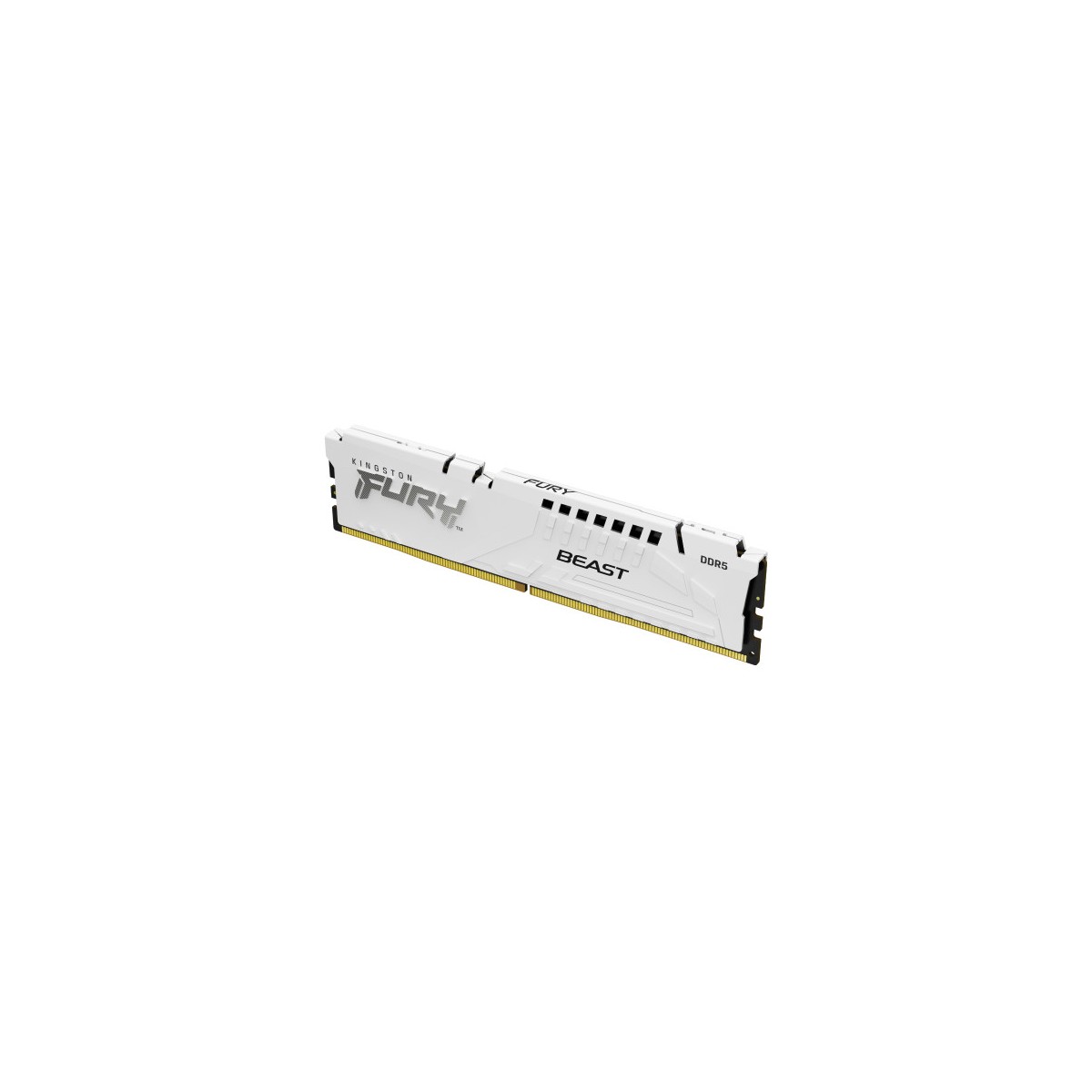 Kingston Technology FURY Beast modulo de memoria 16 GB 1 x 16 GB DDR5