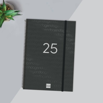 AGENDA 2025 BASIC YEAR E40 210X297MM DIA PAGINA NEGRO FINOCAM 741116025